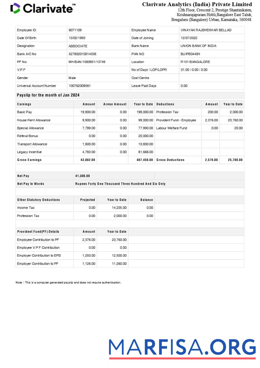Printable Clarivate Analytics India payslip sample